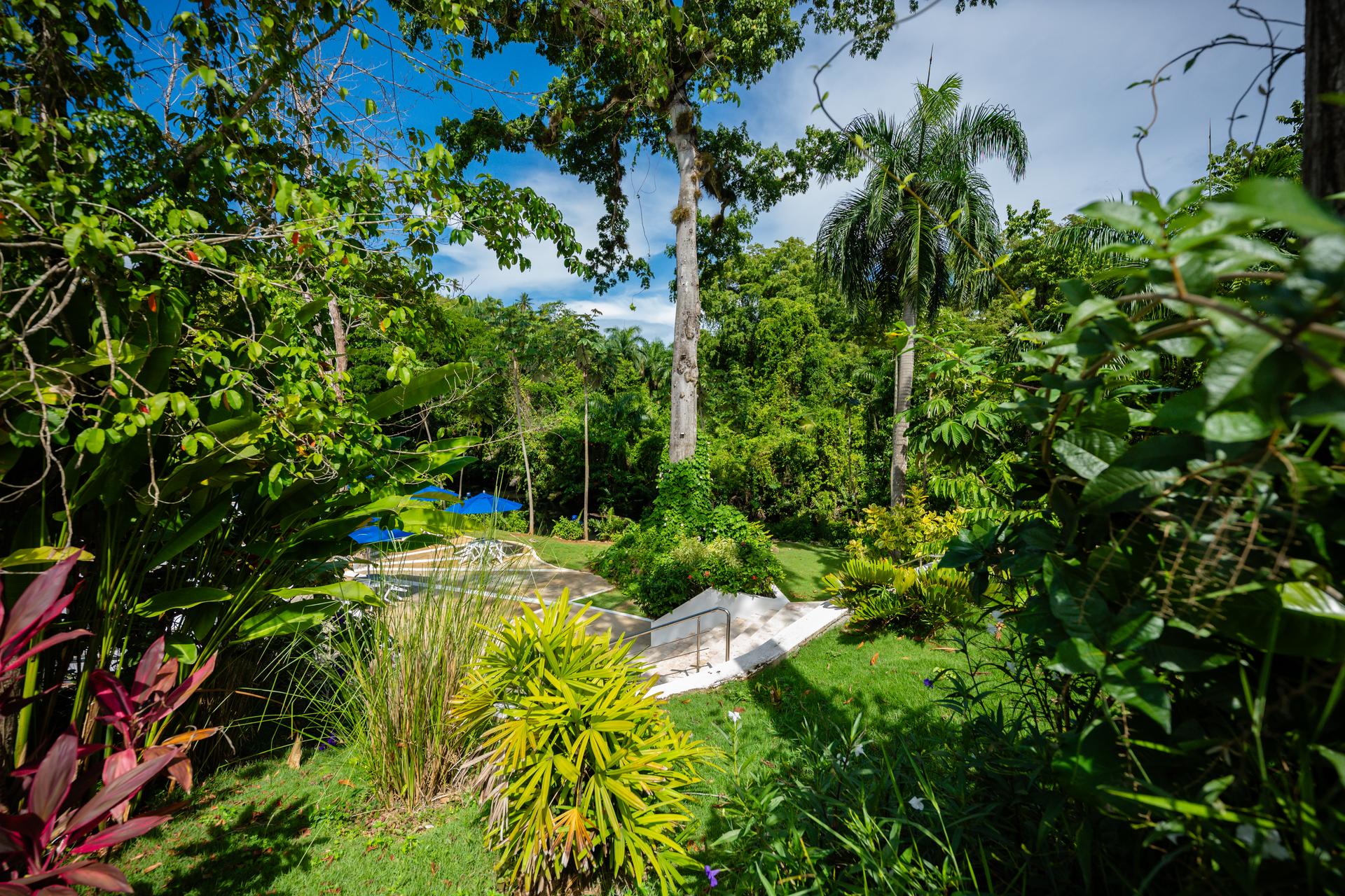 Spirit of Terrenas